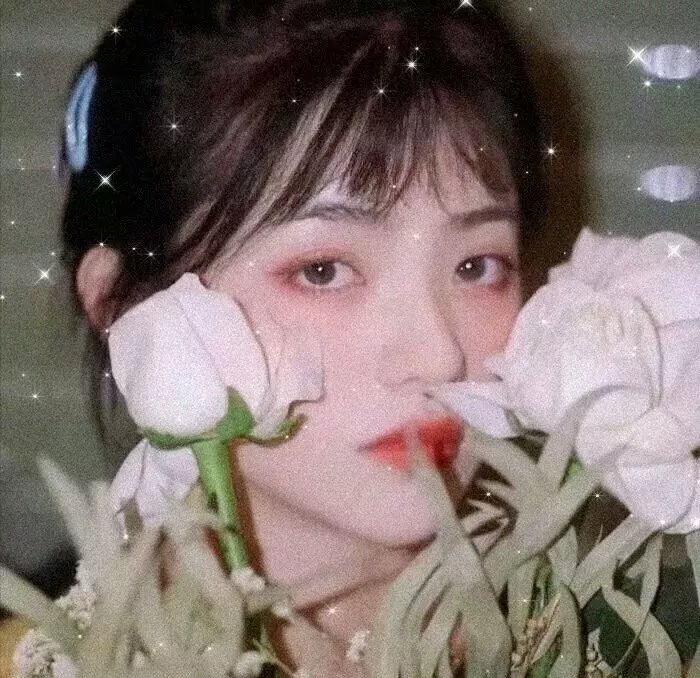 少女娜姆封面