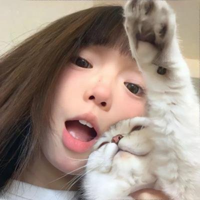蛊惑猫捉贼封面